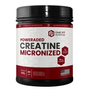 Creatina Micronizada One Fit 500 g